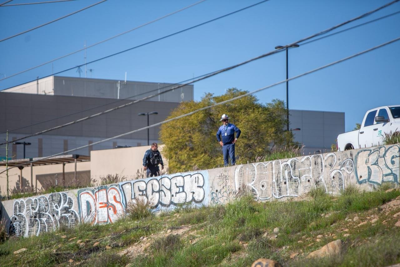 WhatsApp Image 2026-01-29 at 2.35.38 PM (4)