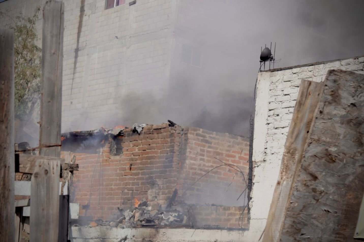 WhatsApp Image 2026-01-30 at 2.51.02 PM (1)