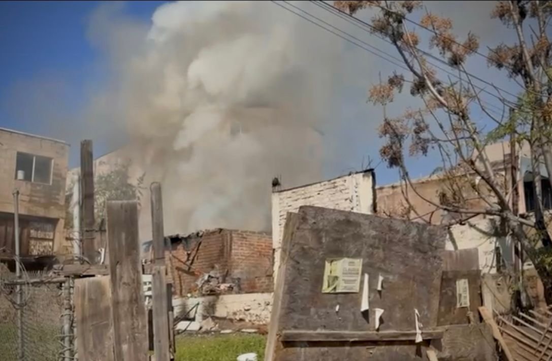 WhatsApp Image 2026-01-30 at 2.51.04 PM