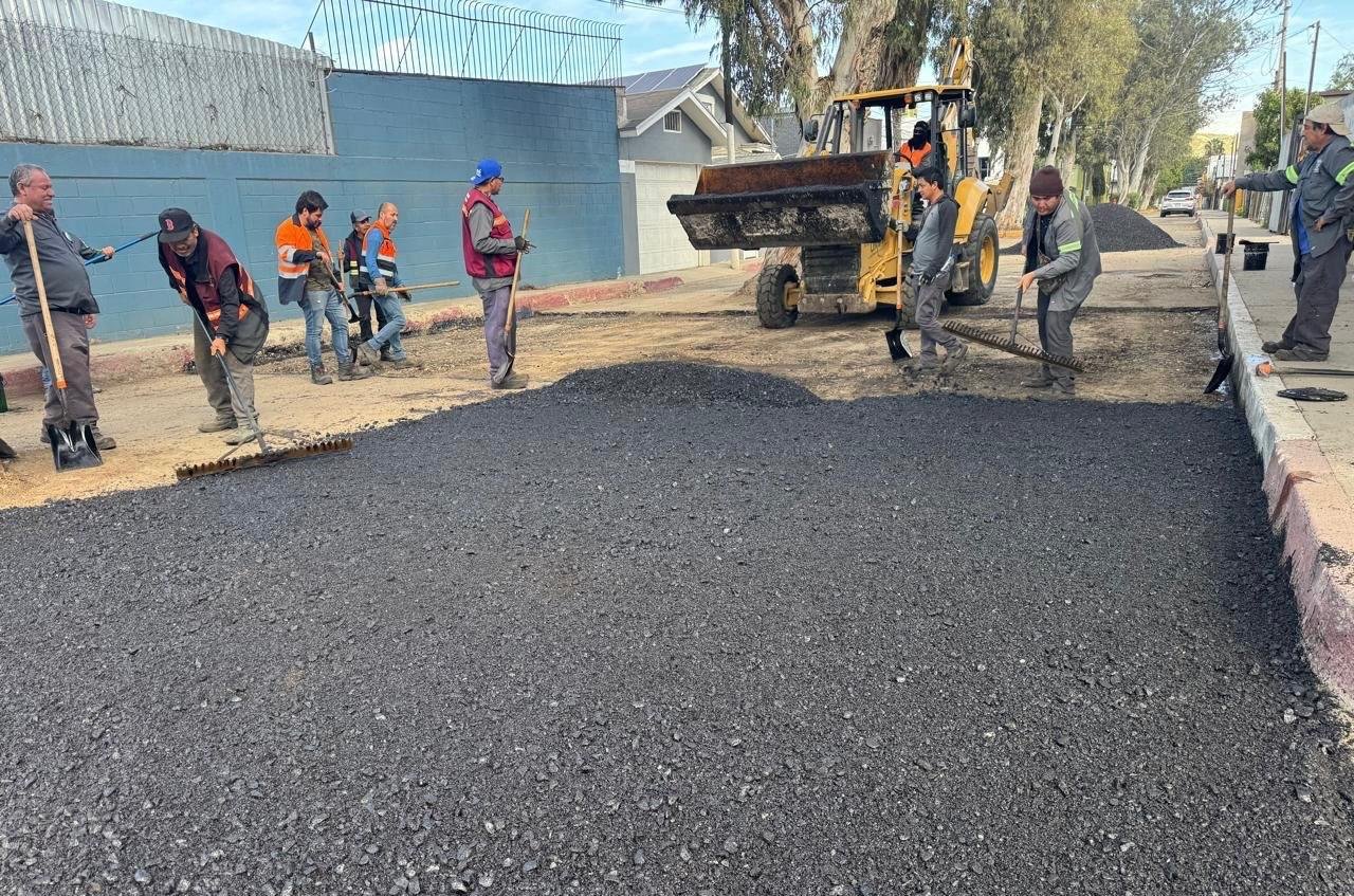 WhatsApp Image 2026-02-02 at 1.56.04 PM (1)