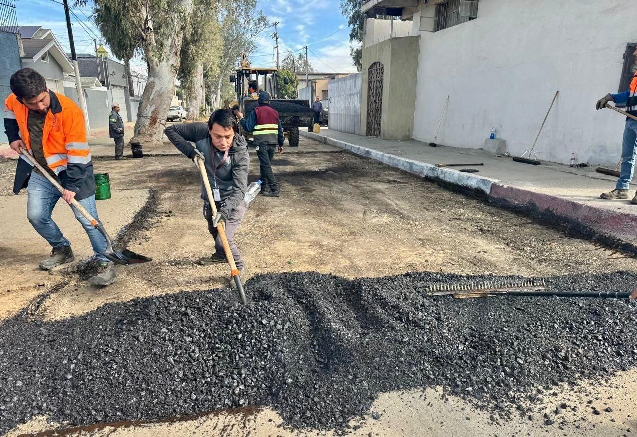 WhatsApp Image 2026-02-02 at 1.56.04 PM