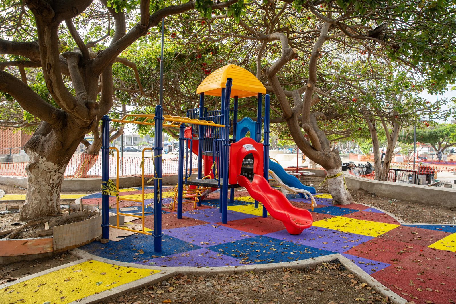 WhatsApp Image 2026-02-02 at 5.44.27 PM (3)