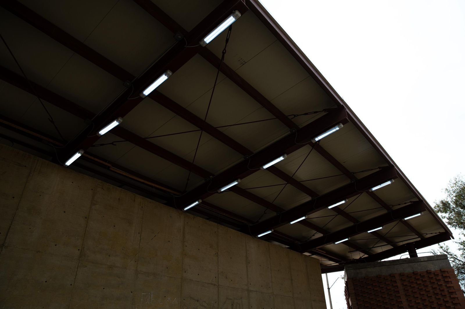 WhatsApp Image 2026-02-02 at 5.44.27 PM (4)