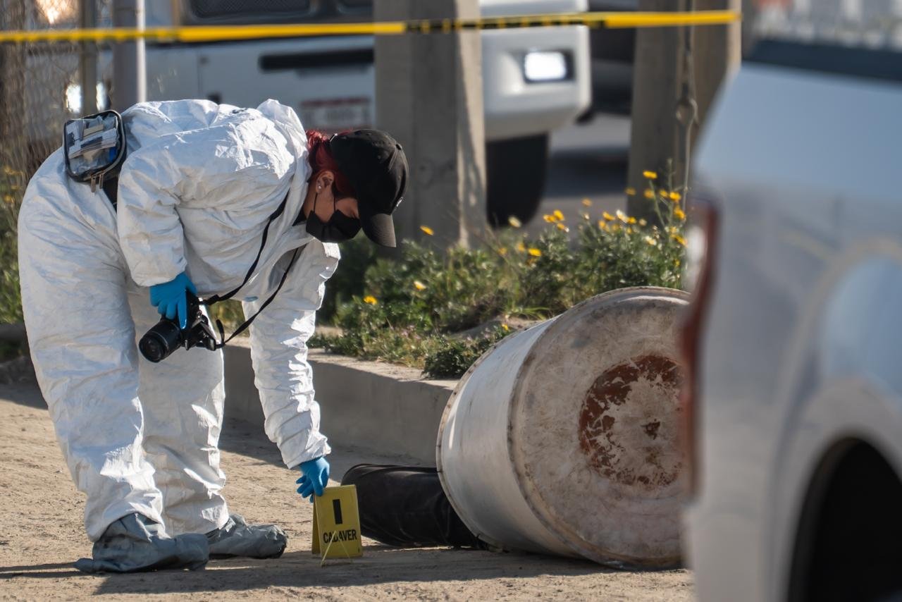 WhatsApp Image 2026-02-03 at 10.31.55 AM (1)