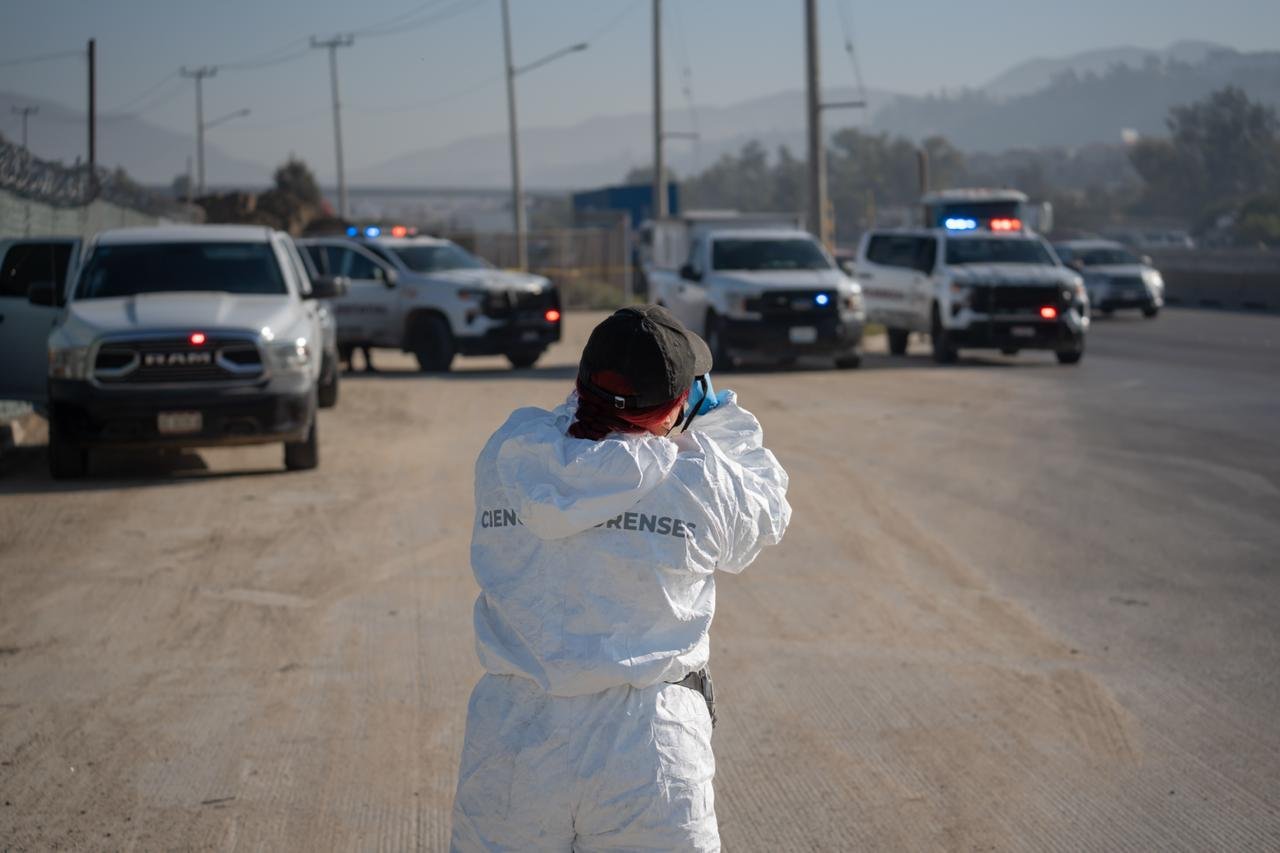 WhatsApp Image 2026-02-03 at 10.31.56 AM (4)