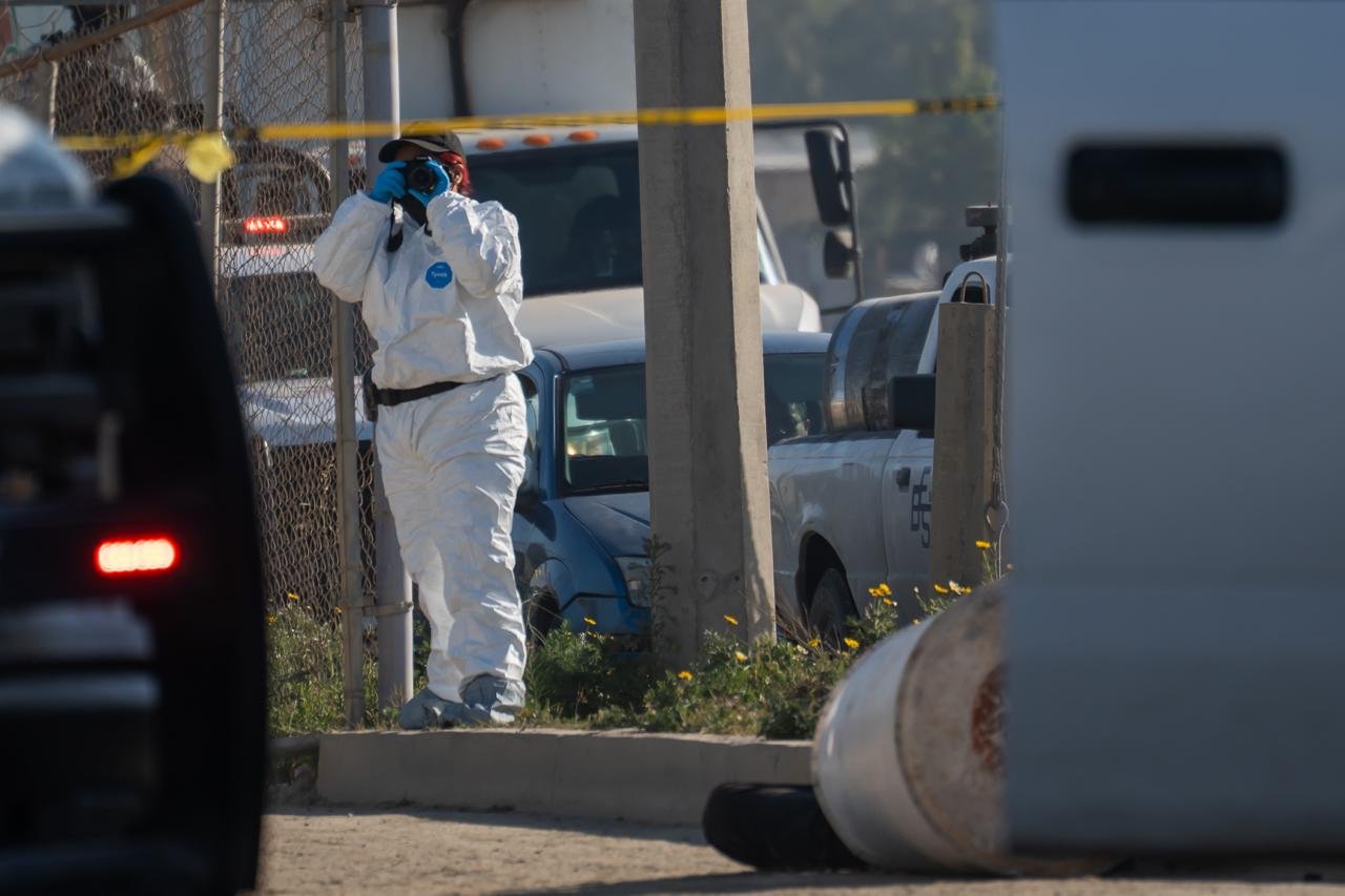 WhatsApp Image 2026-02-03 at 10.31.56 AM (5)