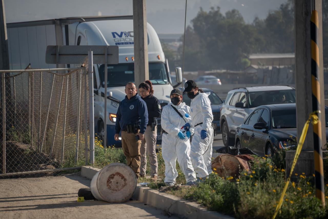 WhatsApp Image 2026-02-03 at 10.31.56 AM