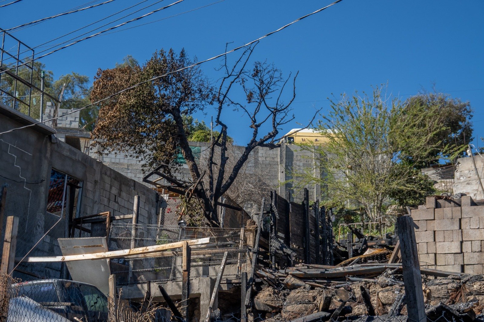 WhatsApp Image 2026-02-05 at 1.33.13 PM (4)