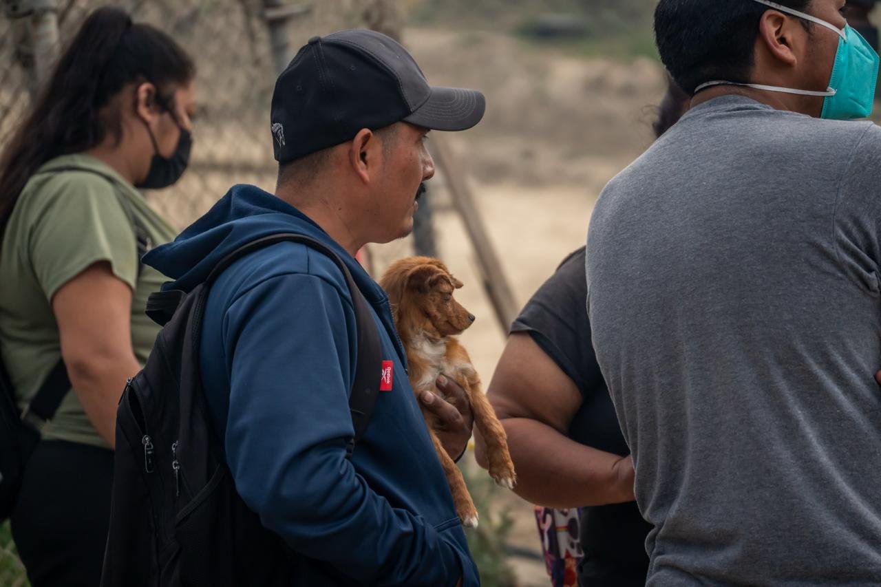 WhatsApp Image 2026-02-05 at 3.25.20 PM (3)