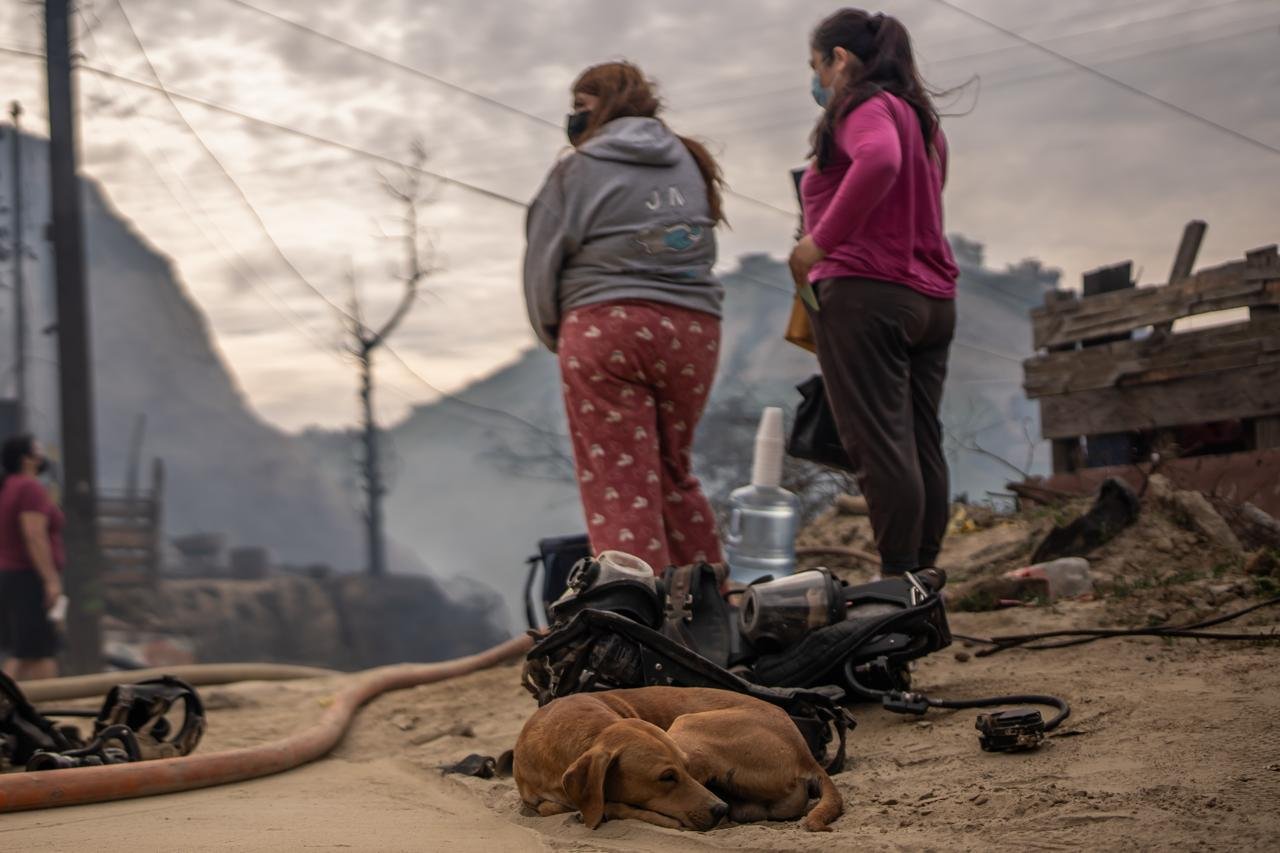 WhatsApp Image 2026-02-05 at 3.25.20 PM