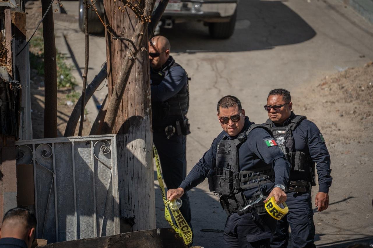 WhatsApp Image 2026-02-09 at 1.13.30 PM