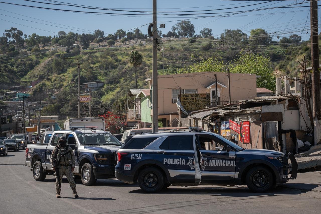 WhatsApp Image 2026-02-09 at 1.13.31 PM