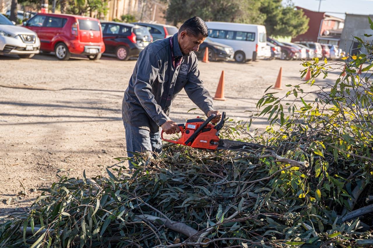 WhatsApp Image 2026-02-09 at 2.53.44 PM