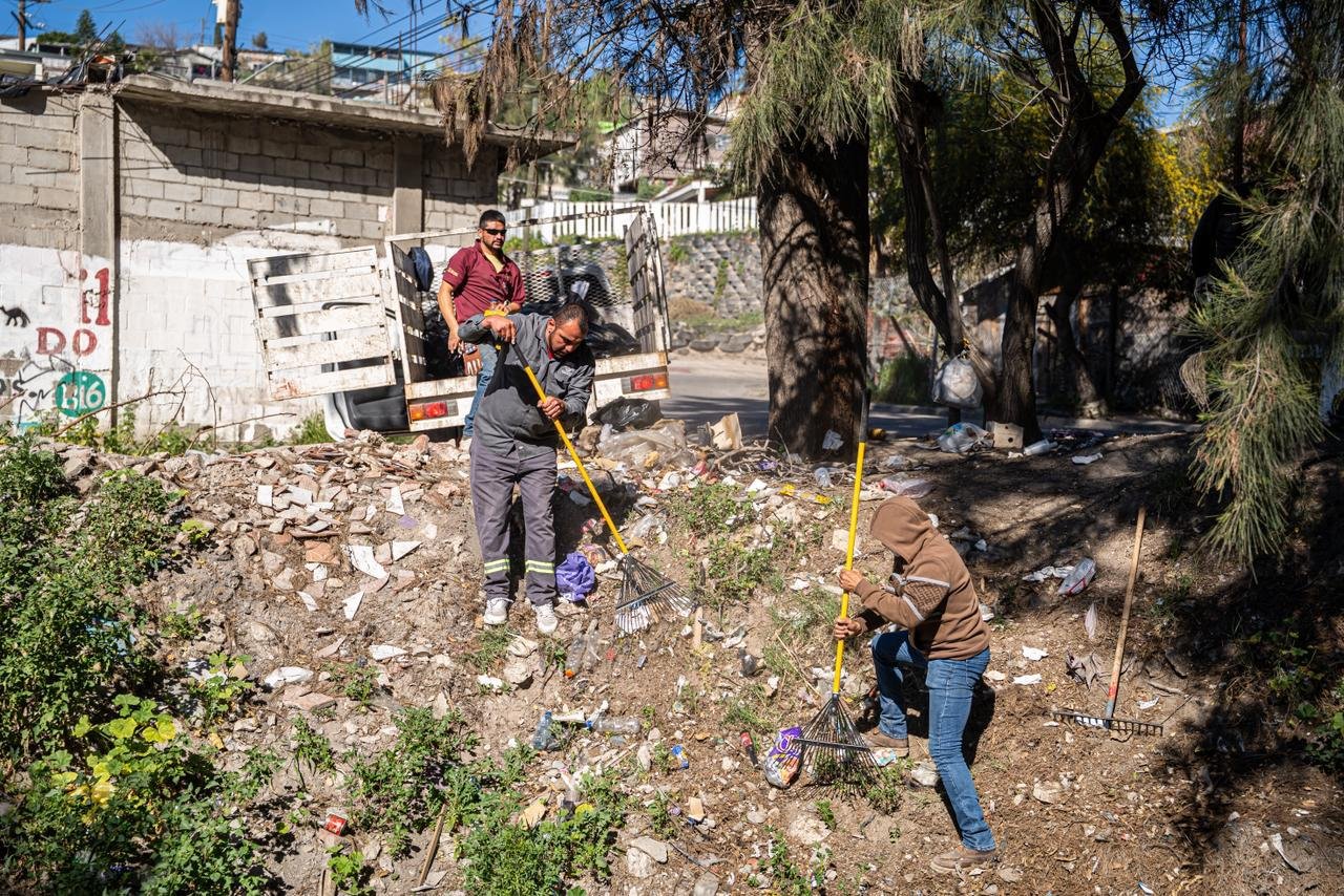 WhatsApp Image 2026-02-09 at 2.53.45 PM (1)