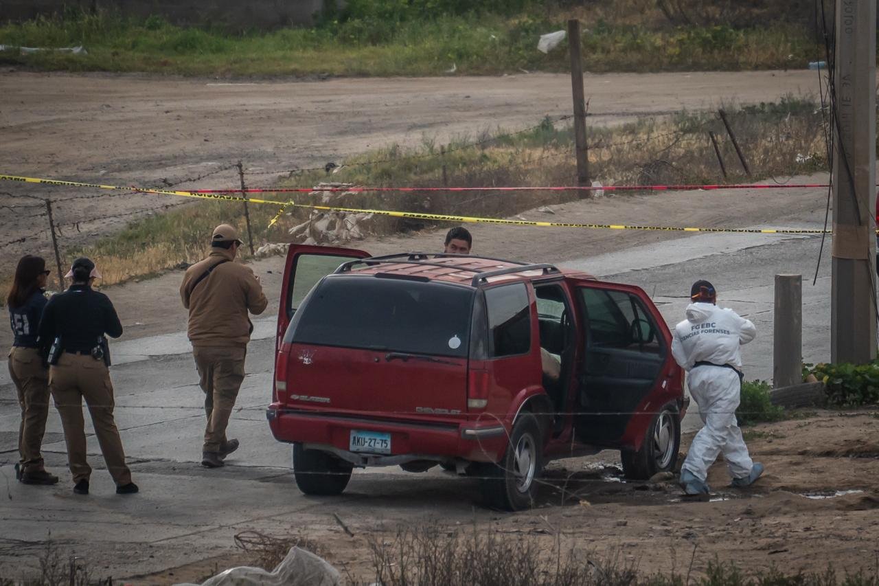 WhatsApp Image 2026-02-10 at 10.24.58 AM