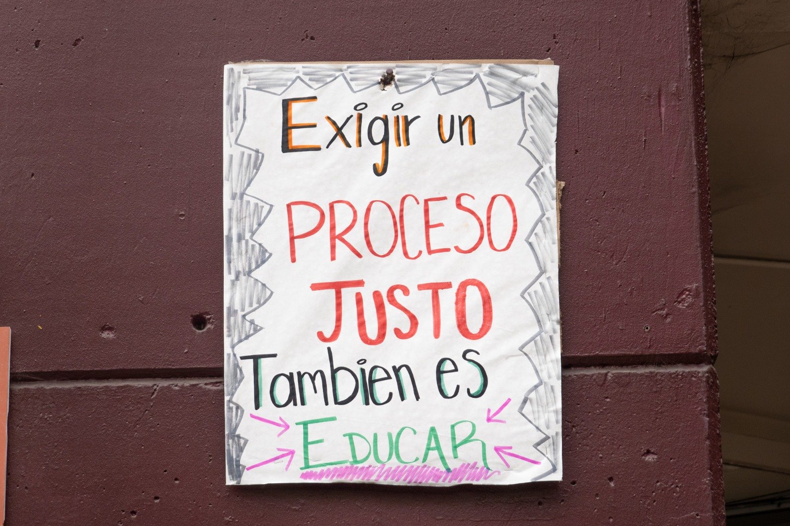 WhatsApp Image 2026-02-10 at 3.08.20 PM