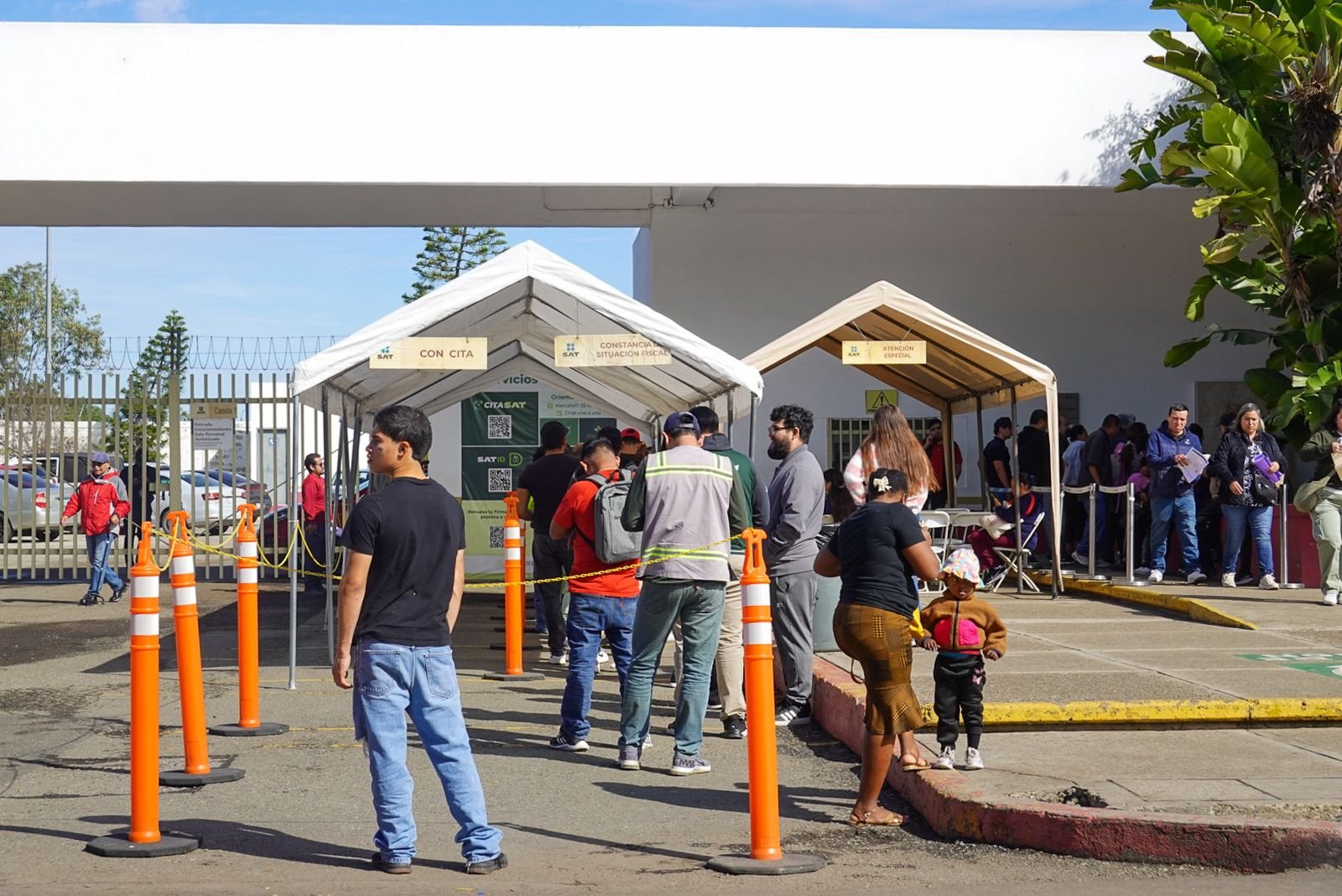 WhatsApp Image 2026-02-12 at 2.04.28 PM (1)