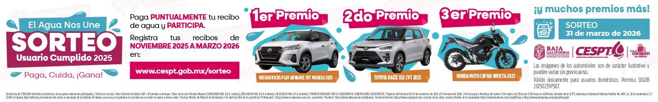 WhatsApp Image 2026-02-13 at 1.15.11 PM