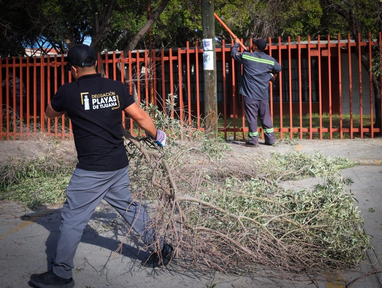 WhatsApp Image 2026-02-13 at 3.52.57 PM (2)