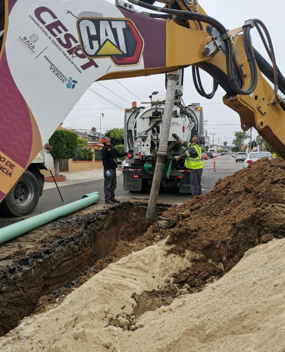 WhatsApp Image 2026-02-15 at 2.11.36 PM (1)