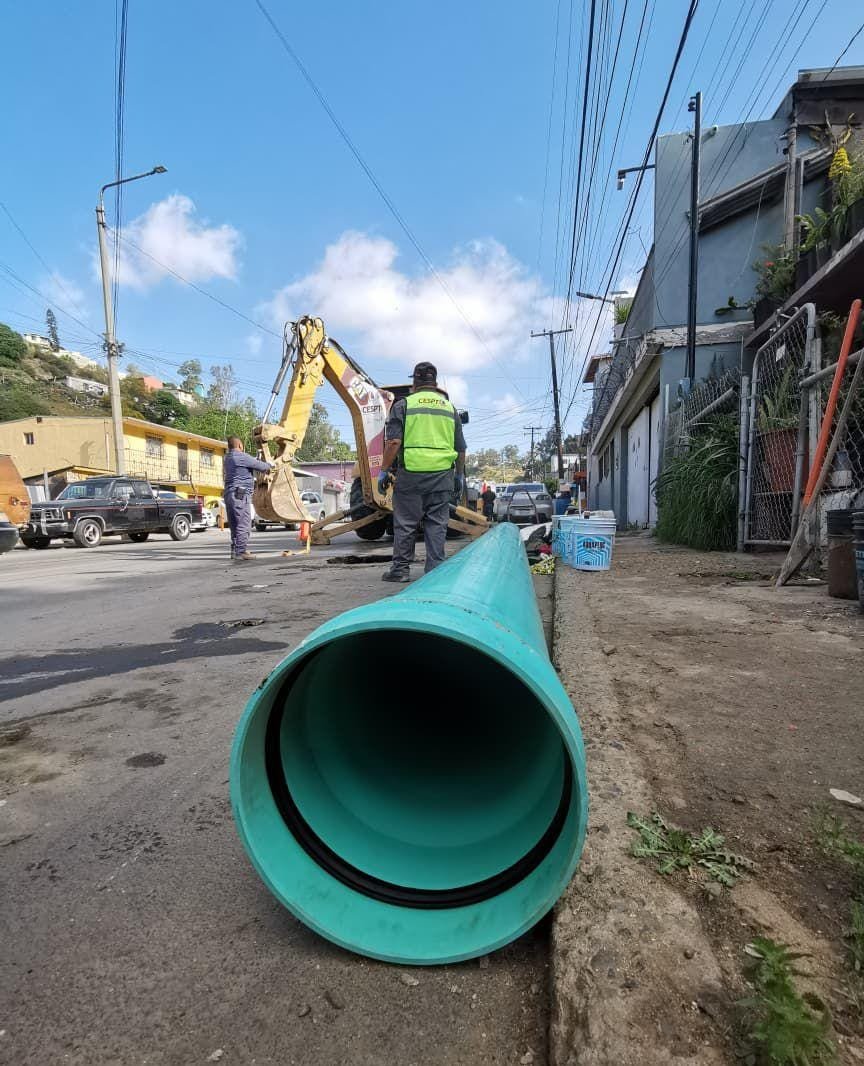 WhatsApp Image 2026-02-15 at 2.11.36 PM