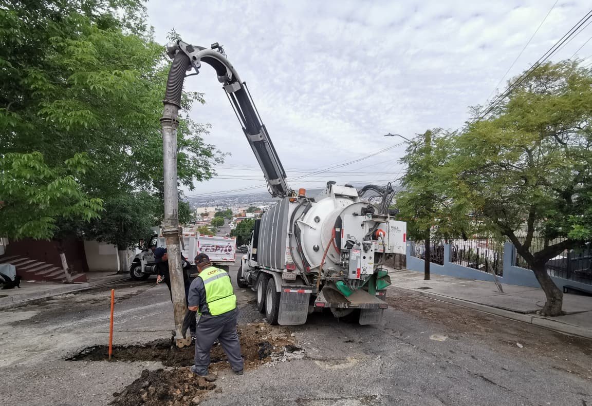 WhatsApp Image 2026-02-16 at 2.19.23 PM (1)