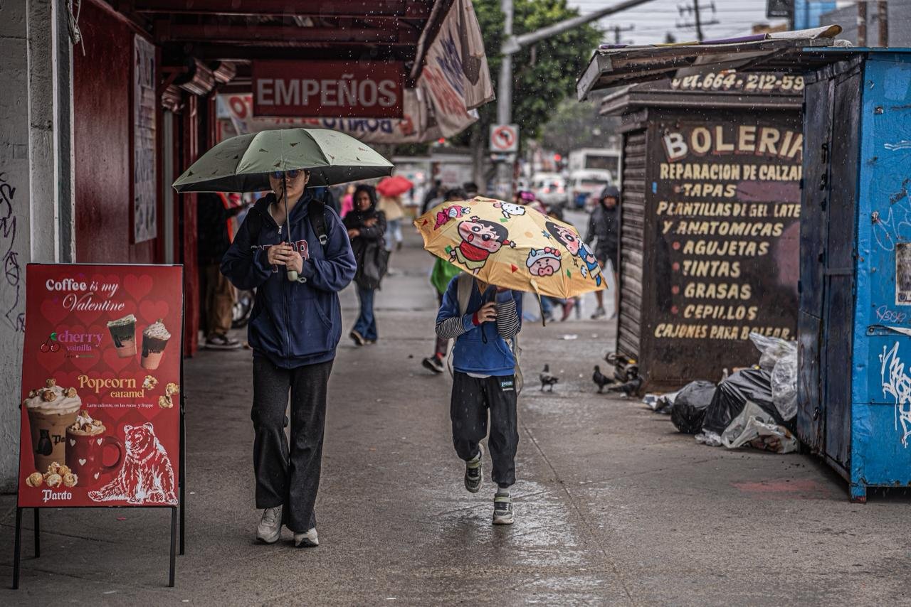 WhatsApp Image 2026-02-16 at 2.39.55 PM (2)