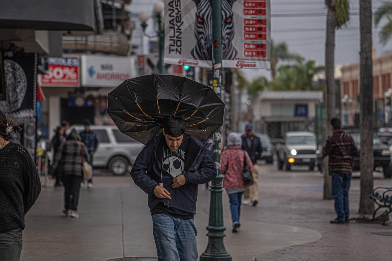 WhatsApp Image 2026-02-16 at 2.39.56 PM (4)