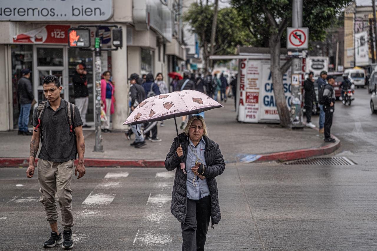 WhatsApp Image 2026-02-16 at 2.39.56 PM