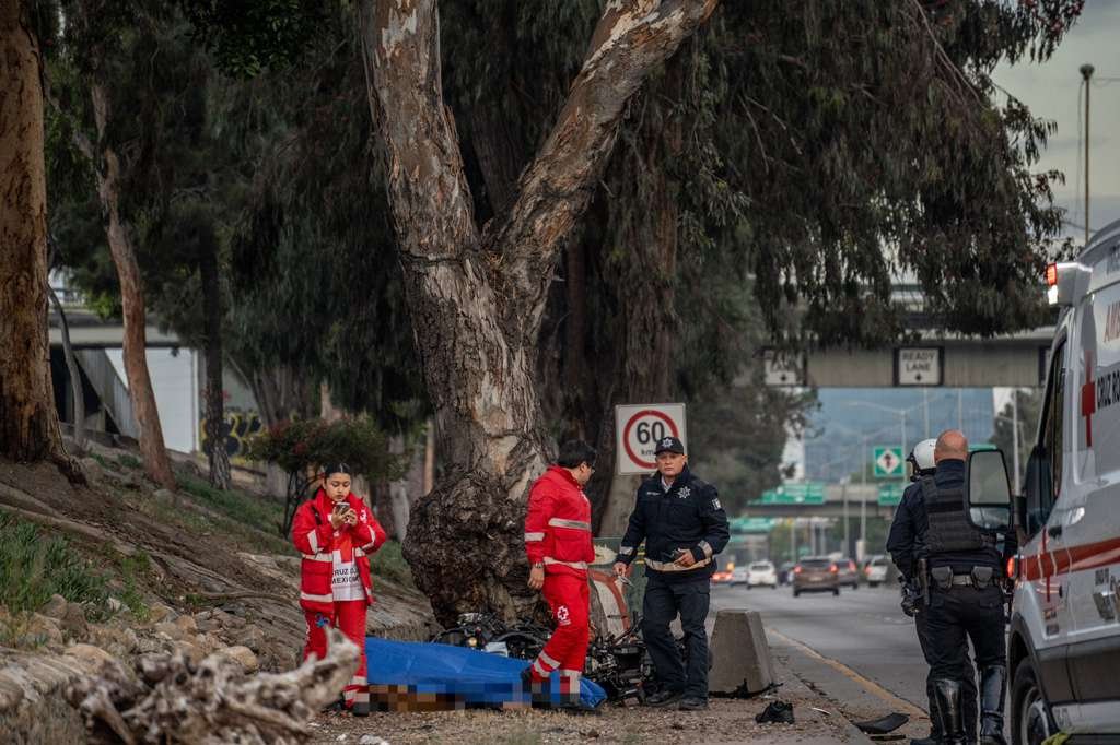 WhatsApp Image 2026-02-16 at 8.06.34 AM (2)