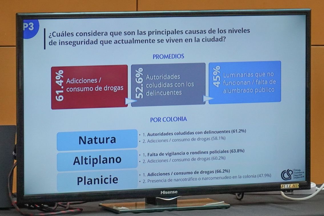 WhatsApp Image 2026-02-17 at 1.29.44 PM (2)