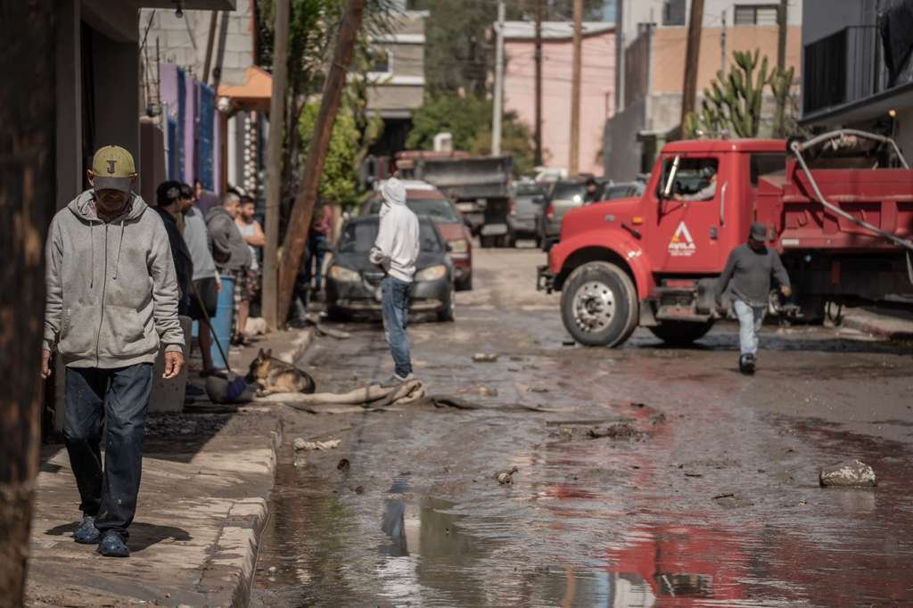 WhatsApp Image 2026-02-17 at 2.27.46 PM (1)