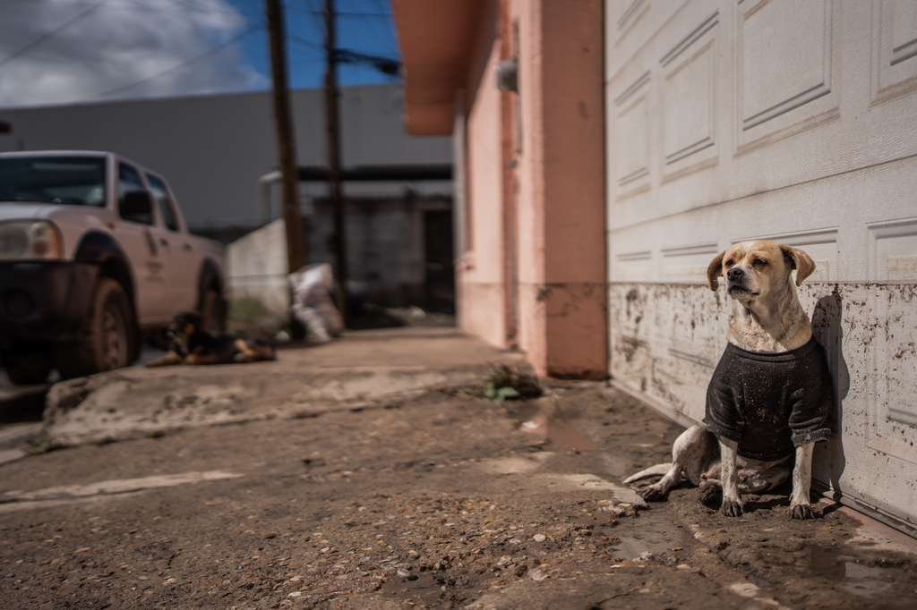 WhatsApp Image 2026-02-17 at 2.27.46 PM (2)