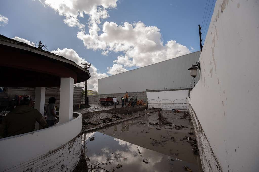 WhatsApp Image 2026-02-17 at 2.27.46 PM (3)