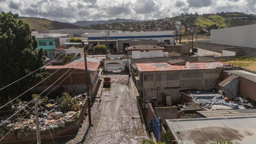 WhatsApp Image 2026-02-17 at 2.27.46 PM