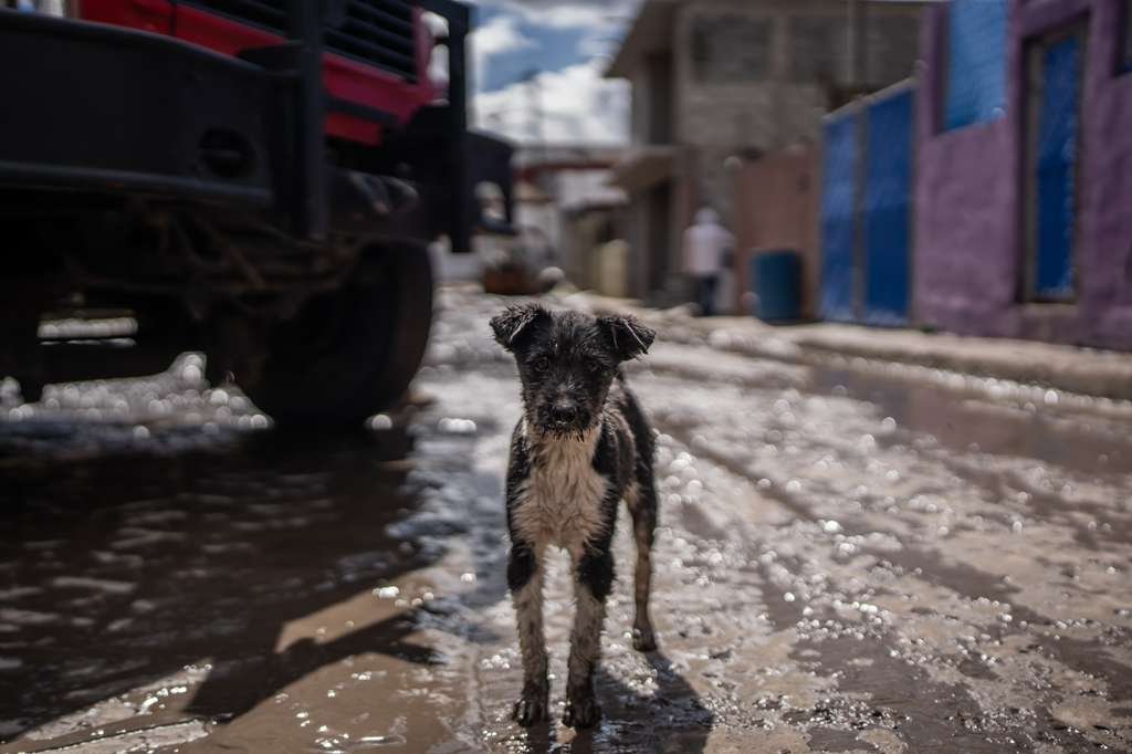 WhatsApp Image 2026-02-17 at 2.27.47 PM