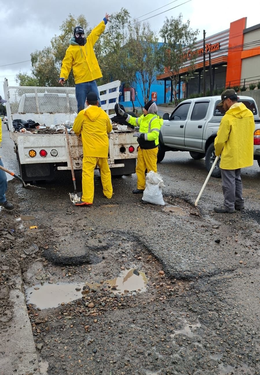 WhatsApp Image 2026-02-18 at 9.36.00 AM (1)