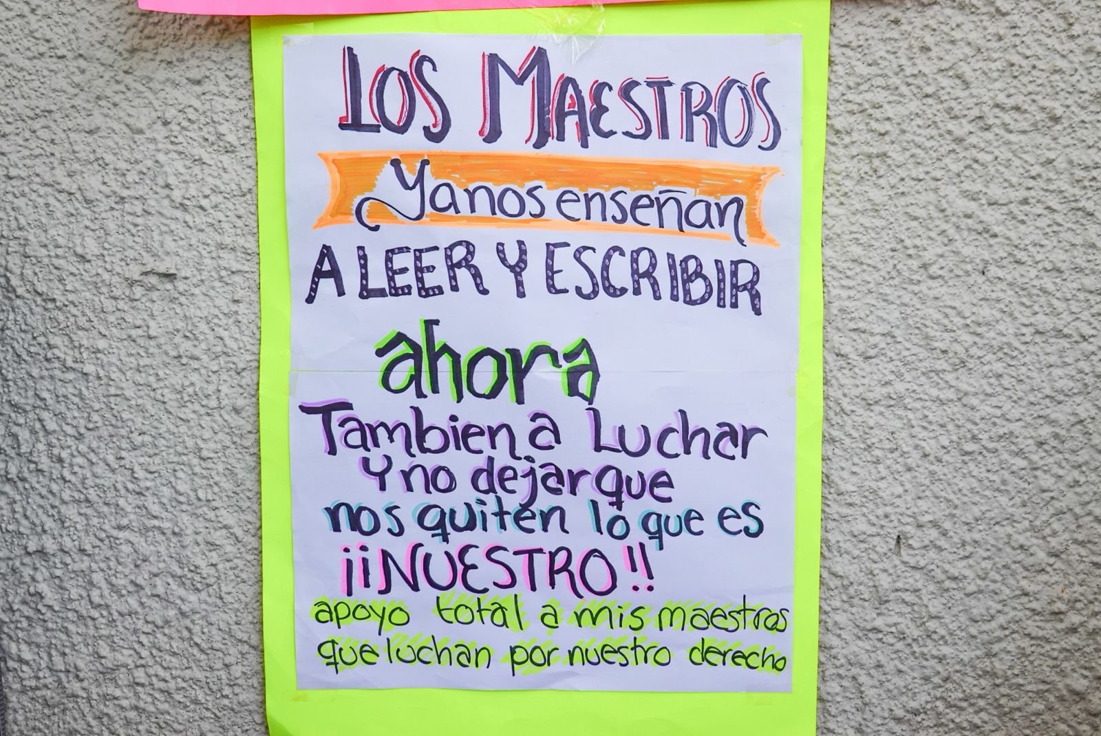 WhatsApp Image 2026-02-20 at 2.30.19 PM