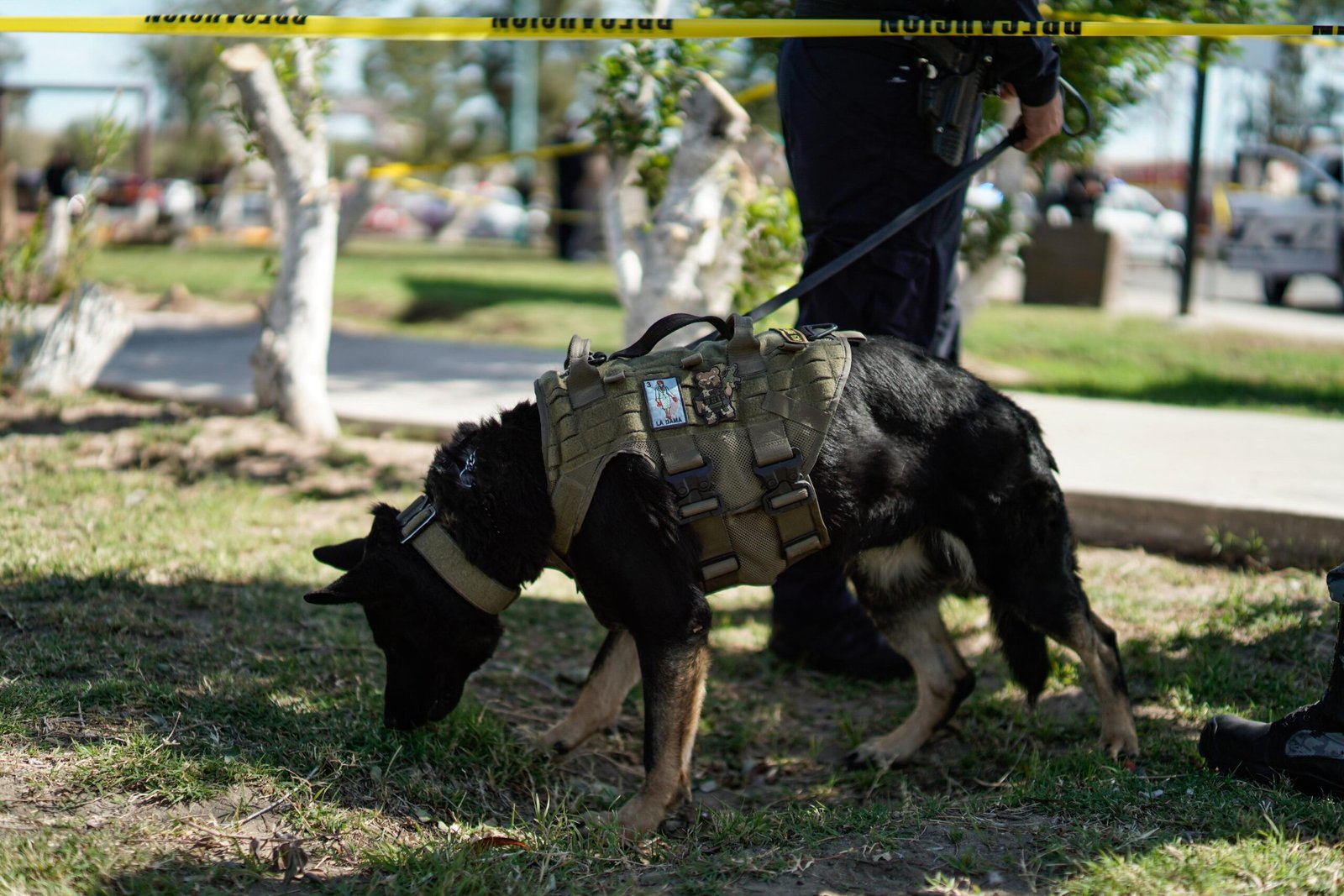 WhatsApp Image 2026-02-24 at 1.25.23 PM (3)