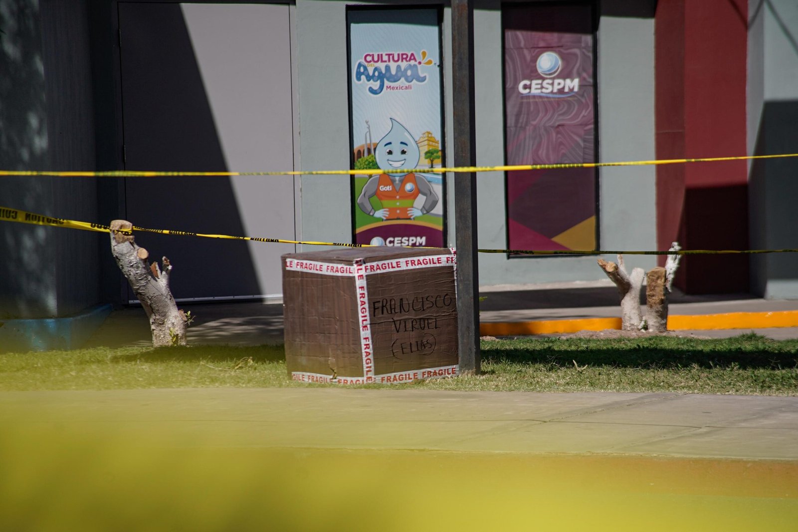 WhatsApp Image 2026-02-24 at 1.25.23 PM (4)