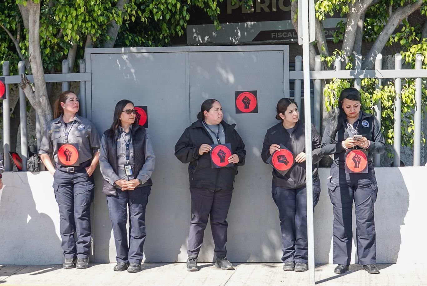 WhatsApp Image 2026-02-24 at 1.25.26 PM