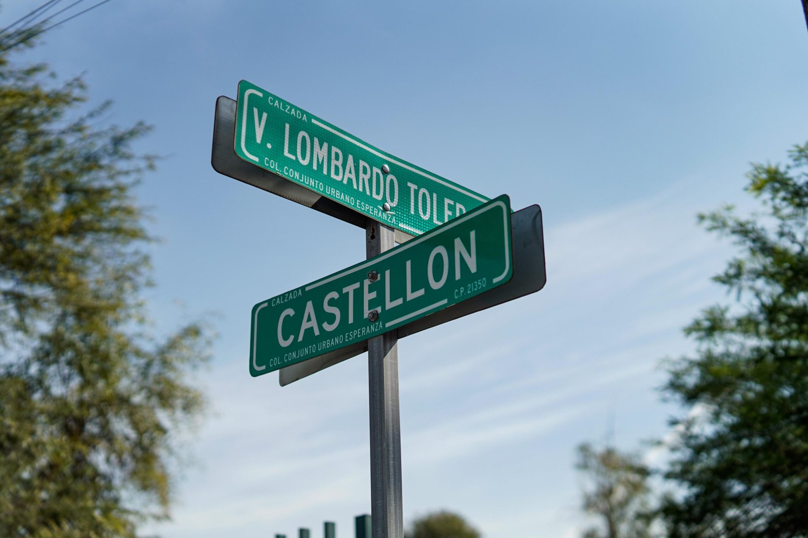 WhatsApp Image 2026-02-24 at 2.29.21 PM (2)