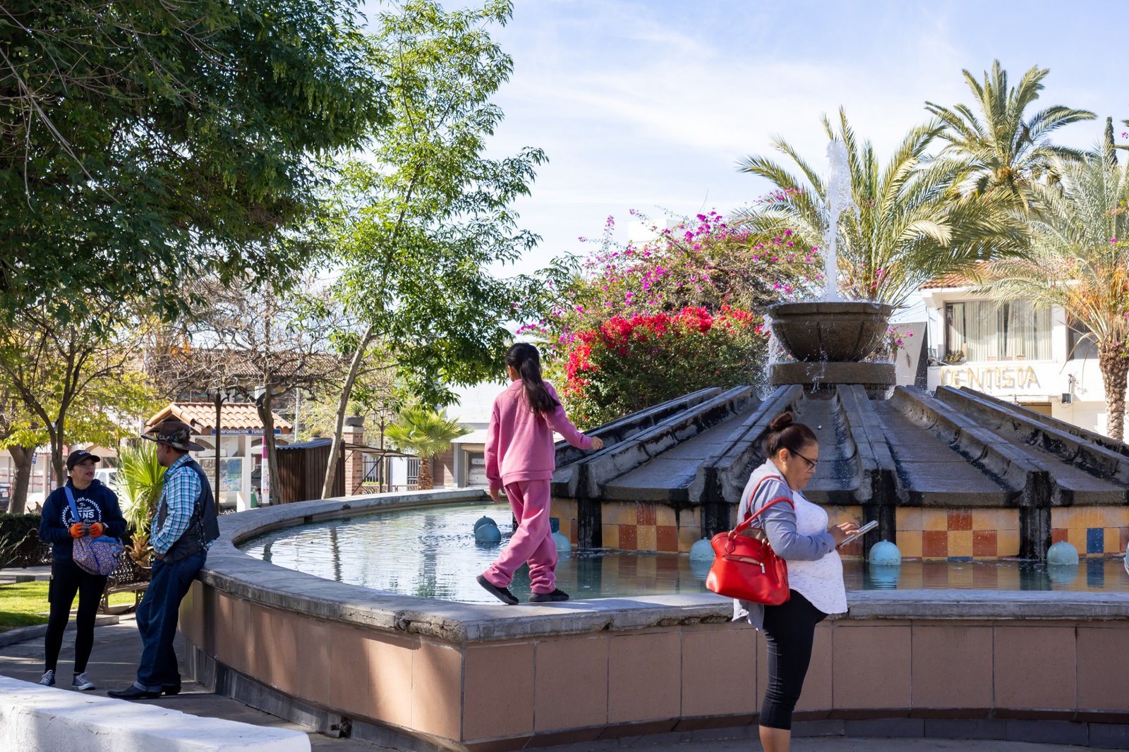 WhatsApp Image 2026-02-24 at 4.07.52 PM (3)