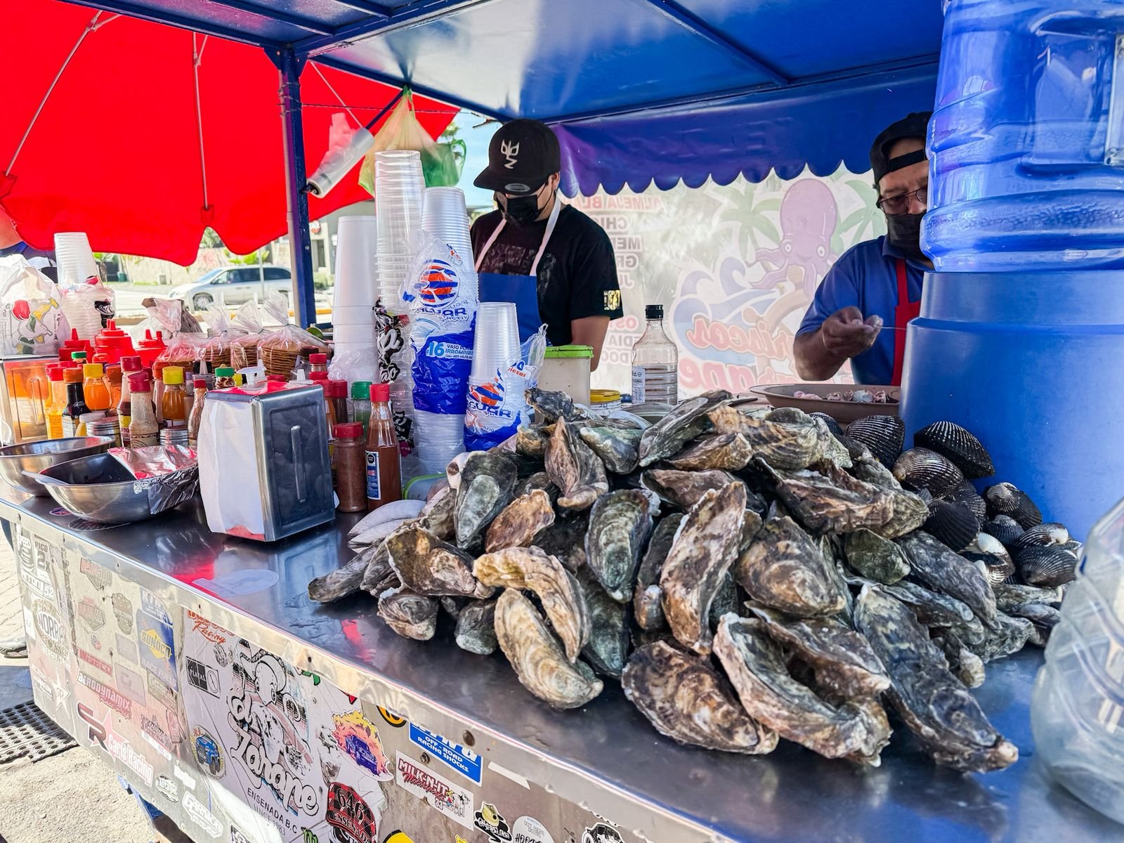 WhatsApp Image 2026-02-25 at 10.46.10 AM (3)