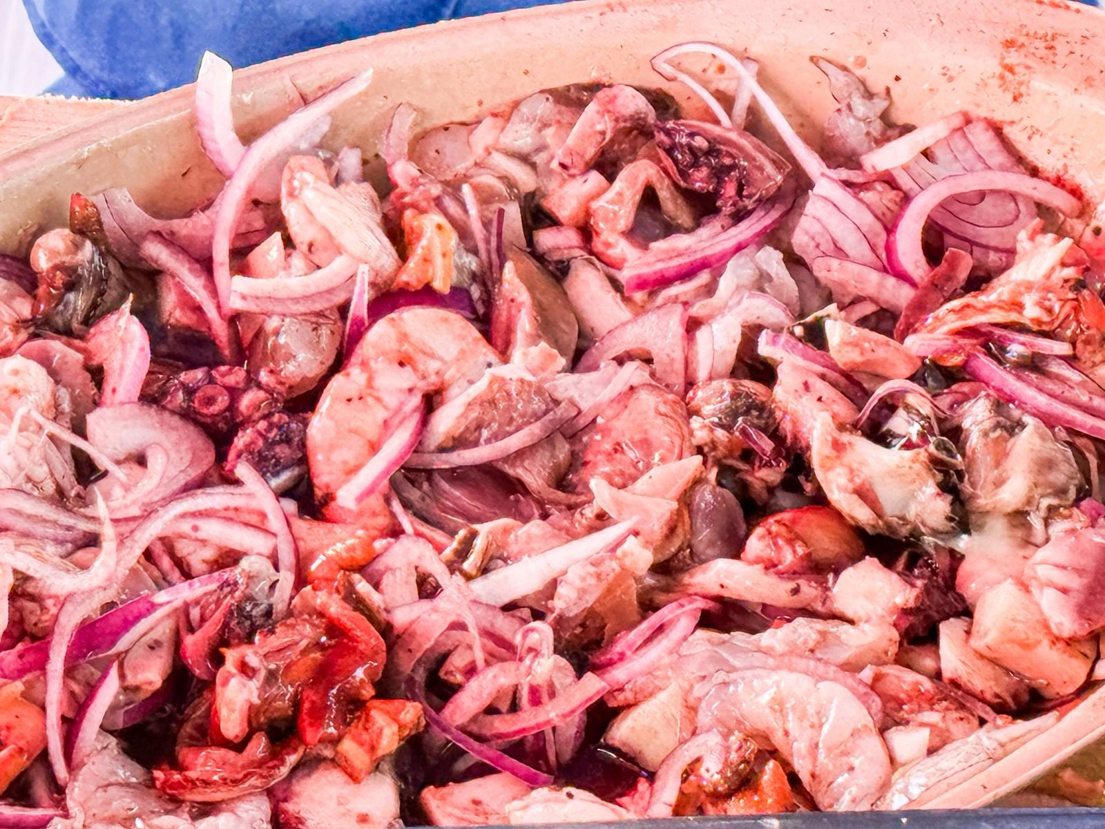 WhatsApp Image 2026-02-25 at 10.46.11 AM (1)