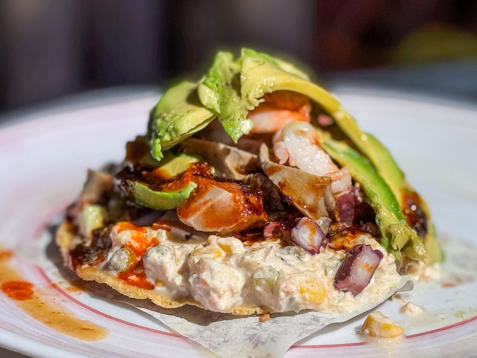 WhatsApp Image 2026-02-25 at 10.46.11 AM (5)