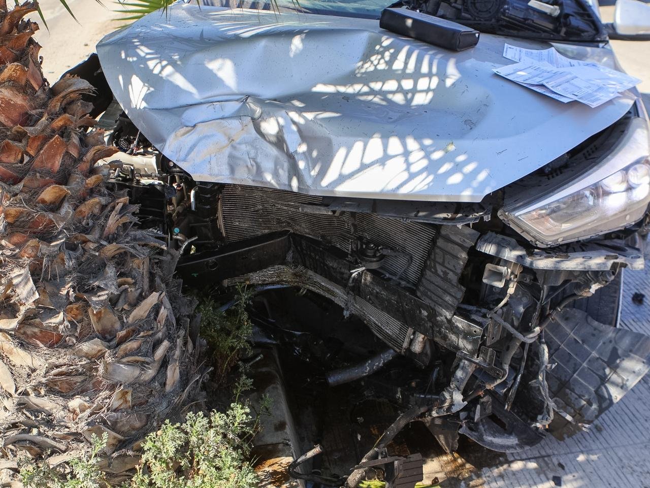 WhatsApp Image 2026-02-25 at 11.28.34 AM (1)