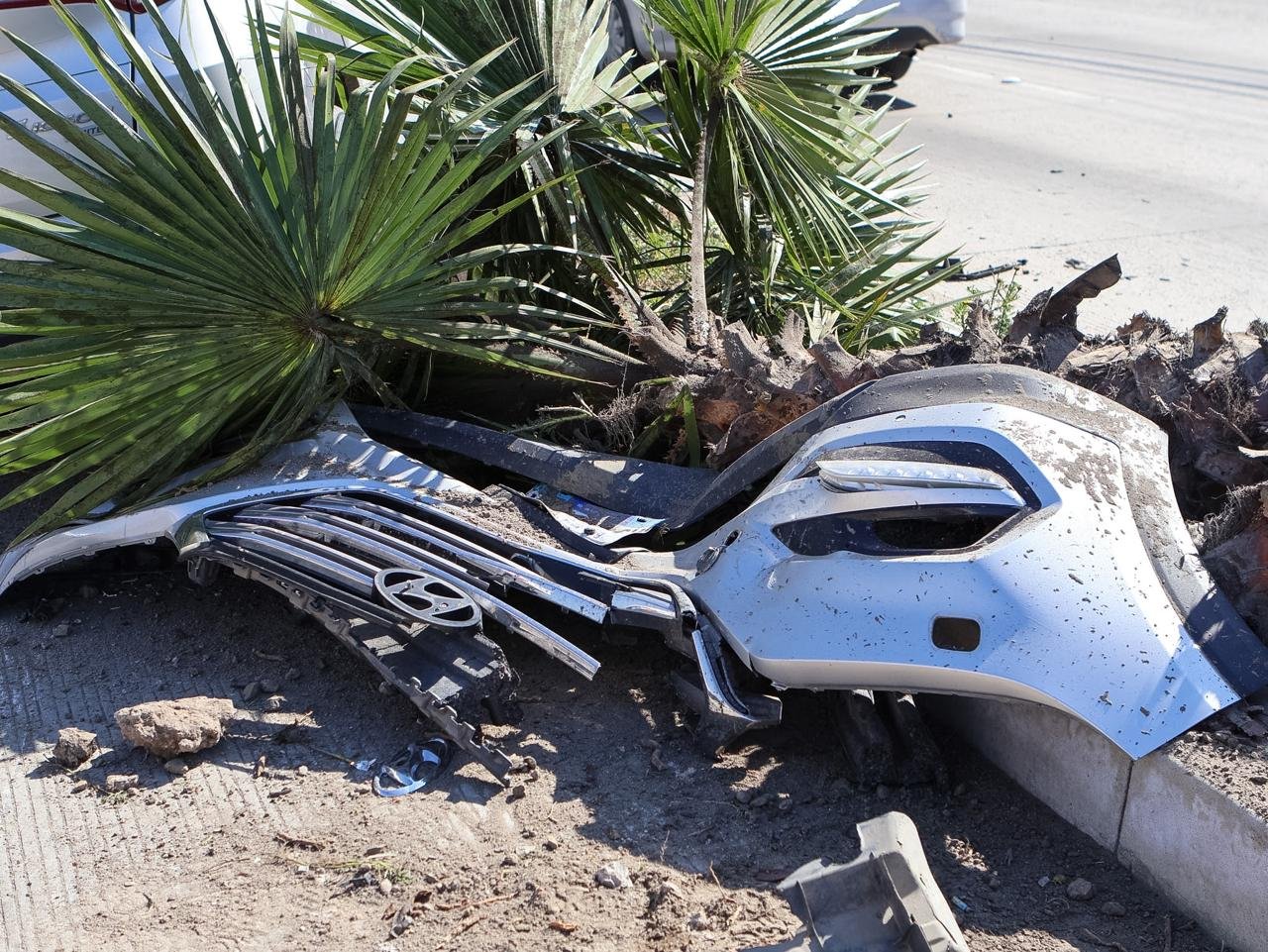 WhatsApp Image 2026-02-25 at 11.28.34 AM (2)