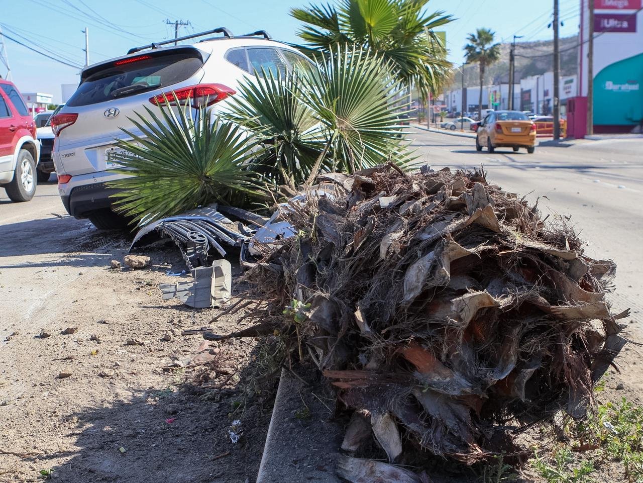 WhatsApp Image 2026-02-25 at 11.28.34 AM (3)