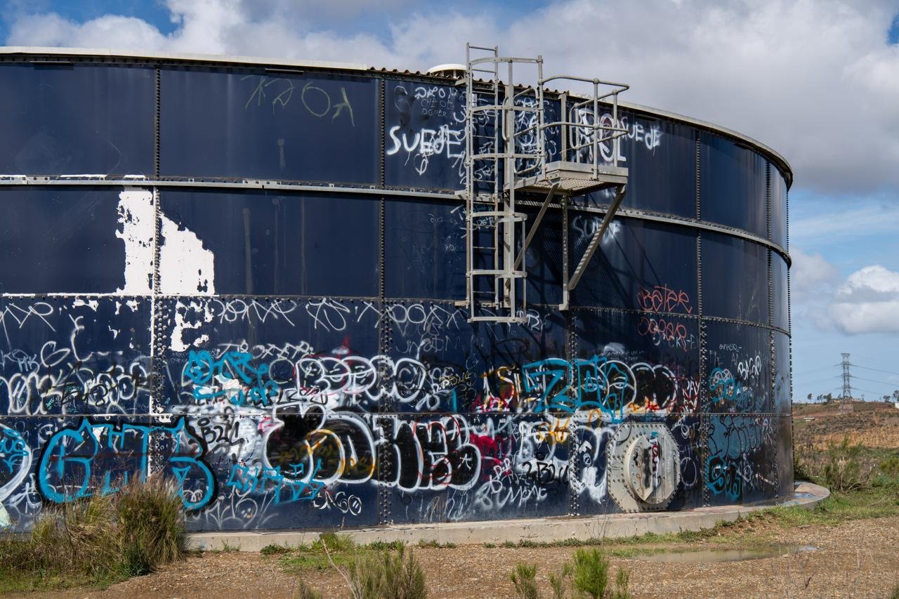 WhatsApp Image 2026-02-25 at 2.25.29 PM (1)